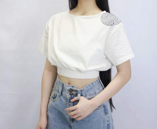 Embroidered Crop Top